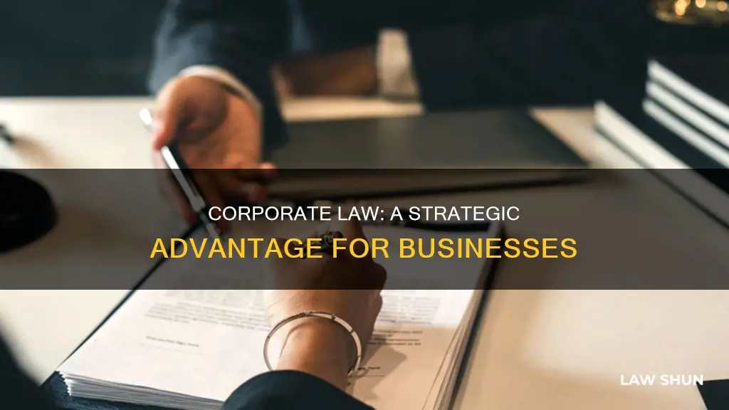 how can corporate law help