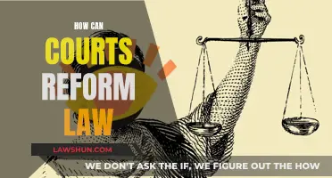 Courts Reforming Law: A Necessary Evolution