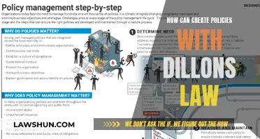Crafting Policies: Applying Dillon's Law