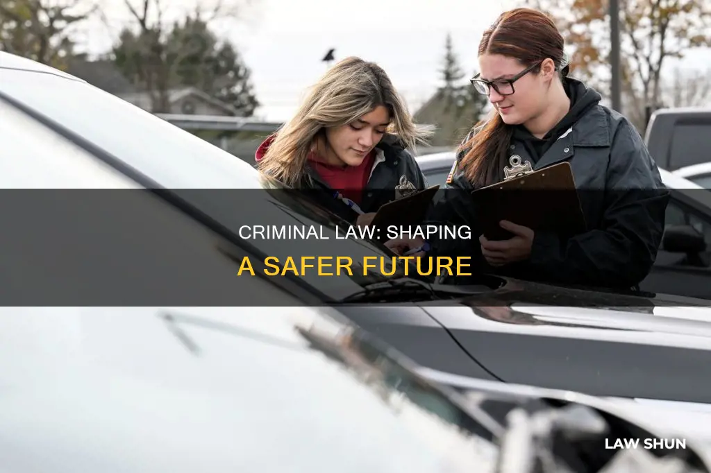 how can criminal law help us in the future
