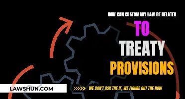 Customary Law: Treaty Provisions' Nexus