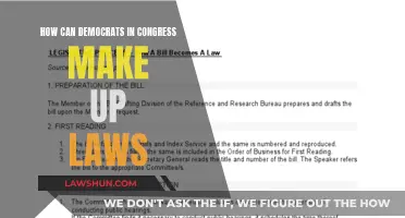 Crafting Laws: Congress Democrats' Guide