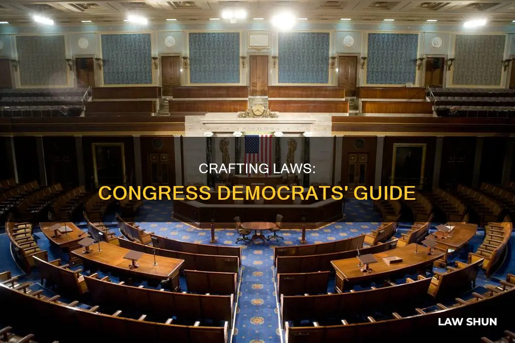 how can democrats in congress make up laws
