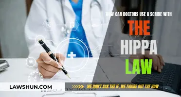 Doctors, Scribes, and HIPAA: A Secure Collaboration