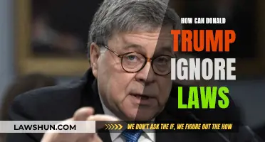 Trump's Law-Dodging: A Guide to His Tactics