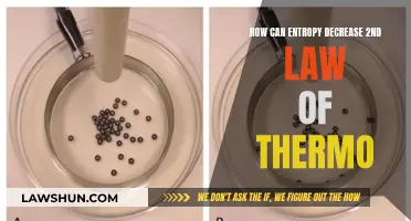 Understanding Entropy: The Second Law's Exception