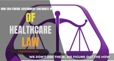 Federal Government: Healthcare Law's Repairmen