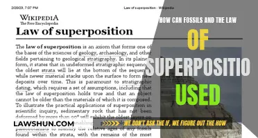 Unraveling Earth's History: Fossils and Superposition
