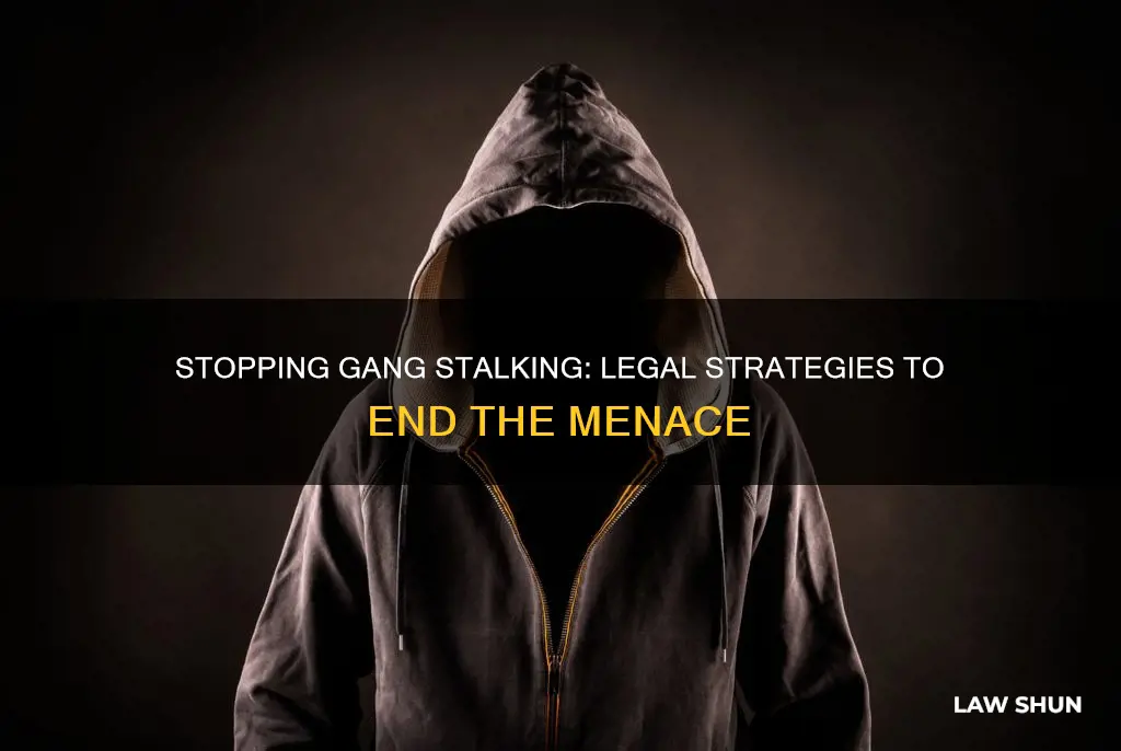 how can gang stalking be stopped within the law