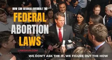 Georgia's Abortion Laws: Overruling Federal Jurisdiction