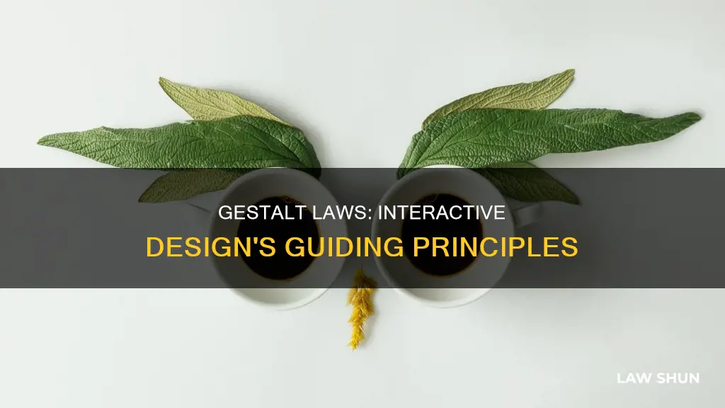 how can gestalt laws help interactive designs