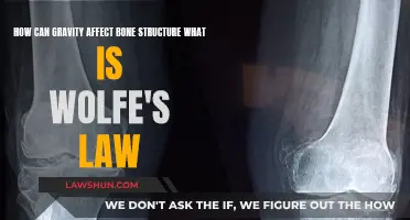 Gravity's Impact: Wolfe's Law Explained