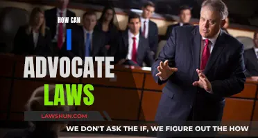 Advocating Change: Effective Strategies for Law Reform