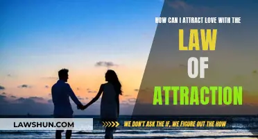 Manifesting Love: Using the Law of Attraction to Find Your Soulmate