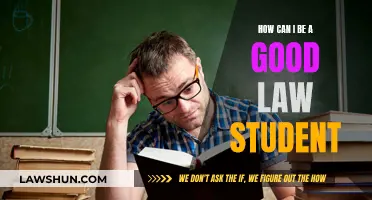 Aspiring Lawyers: Tips for Becoming a Stellar Law Student