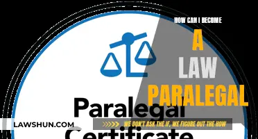 Paralegal Career: Steps to Success in Law
