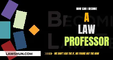 Strategies to Become a Law Professor