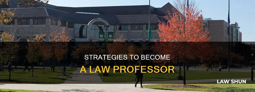 how can i become a law professor