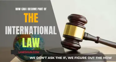 Becoming an International Lawyer: Steps to Take