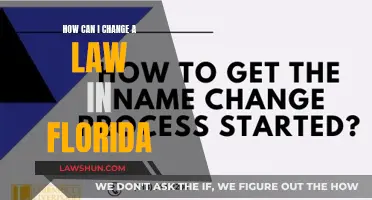 Changing Laws in Florida: A Guide to Making an Impact