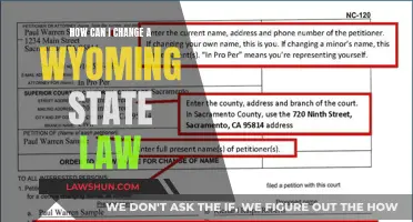 Initiating Change: Wyoming's Law Reform Process