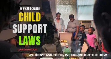 Changing Child Support Laws: A Guide for Parents