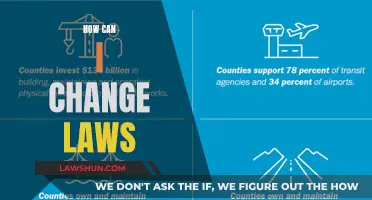 Changing Laws: Strategies for Impactful Advocacy