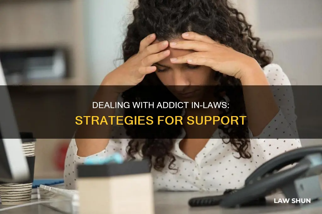 how can i deal with an addict in laws