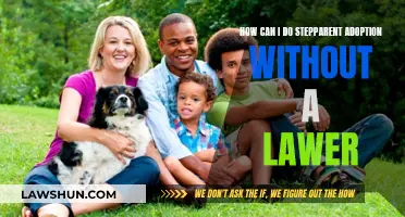 Adopting as a Stepparent: Navigating Without a Lawyer