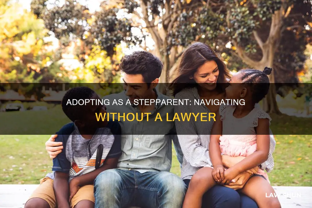 how can i do stepparent adoption without a lawer