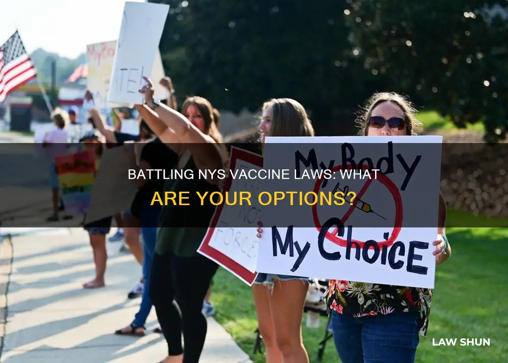 how can i fight nys vaccines laws
