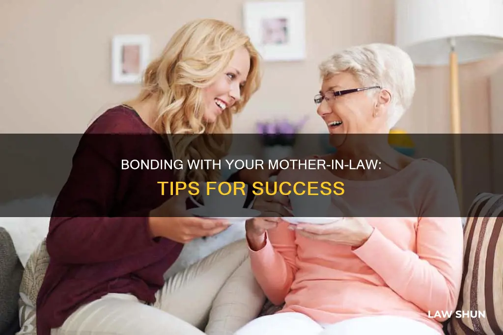 how can i get along with my mother in law