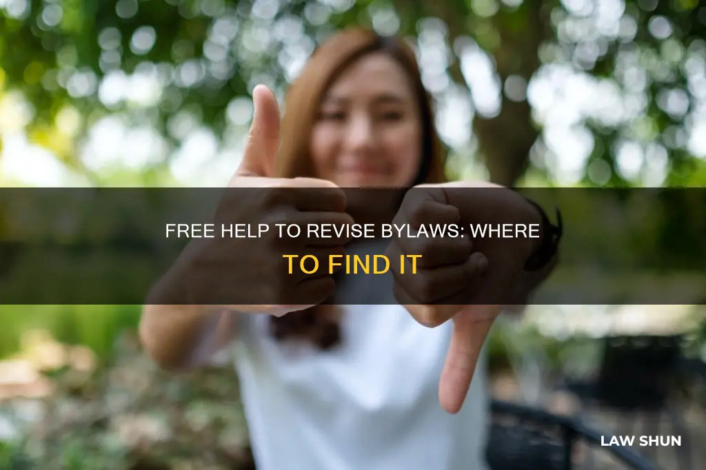 how can i get free help to revise my by-laws