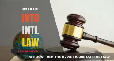 Breaking into International Law: Strategies for Success