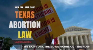 Fight Texas Abortion Law: What You Can Do