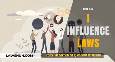 Influencing Laws: Your Voice, Your Power