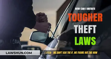Implementing Tougher Theft Laws: Strategies and Community Impact