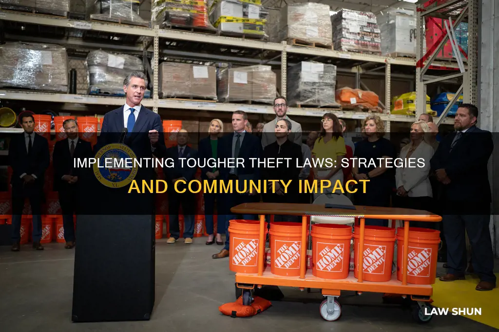 how can i initiate tougher theft laws