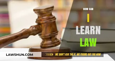 Strategies for Learning Law Efficiently