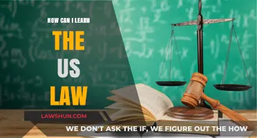 Understanding US Law: A Beginner's Guide