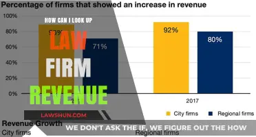 Researching Law Firm Revenue: A Guide to Financial Insights