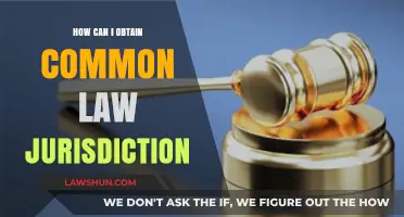 Understanding Common Law: Obtaining Jurisdiction