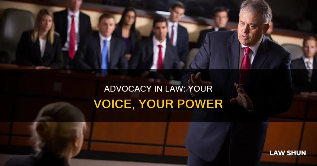 how can i participate in advocacy in law