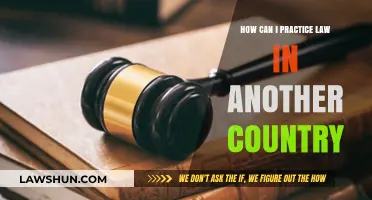 Practicing Law Abroad: What You Need to Know