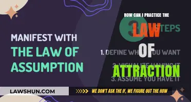 Manifesting the Law of Attraction: Simple Daily Practices