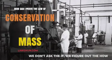 Proving the Law of Conservation of Mass: Balancing the Equation