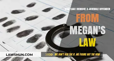 Juvenile Offenders: Removing Megan's Law Records