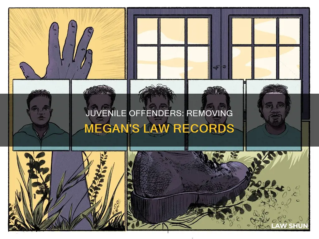 how can i remove a juvenile offender from megan