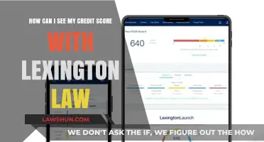 Lexington Law: Accessing Your Credit Score