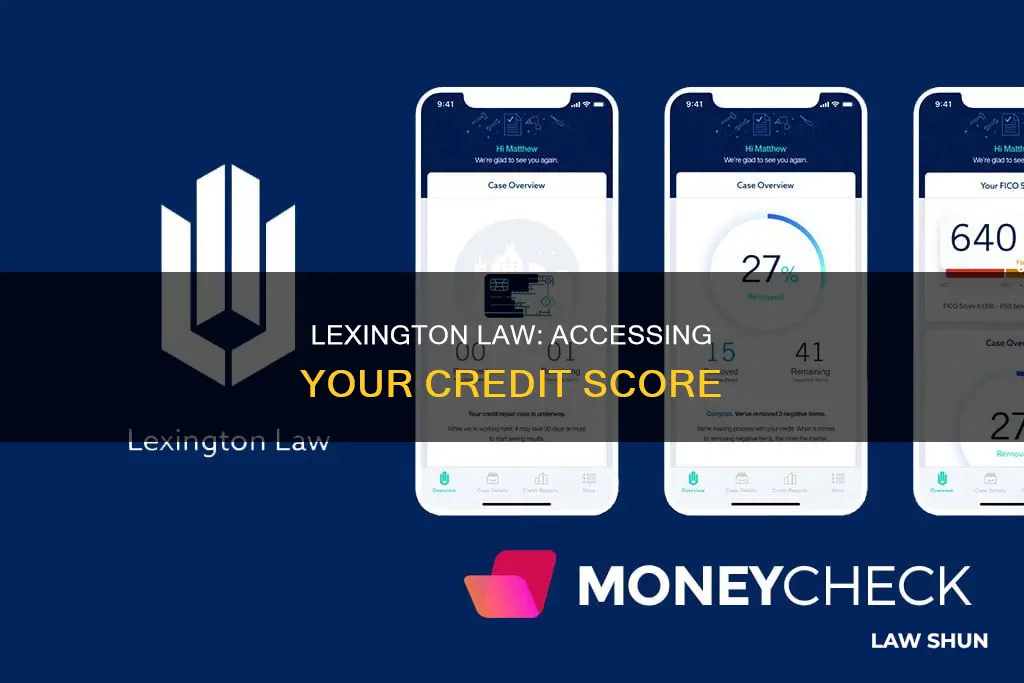 how can i see my credit score with lexington law